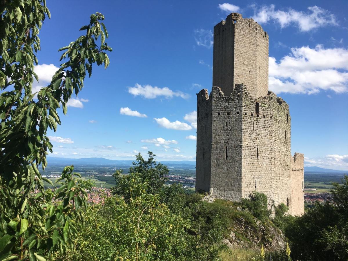 Apartament Au Nid De Cigogne Zellenberg Zewnętrze zdjęcie