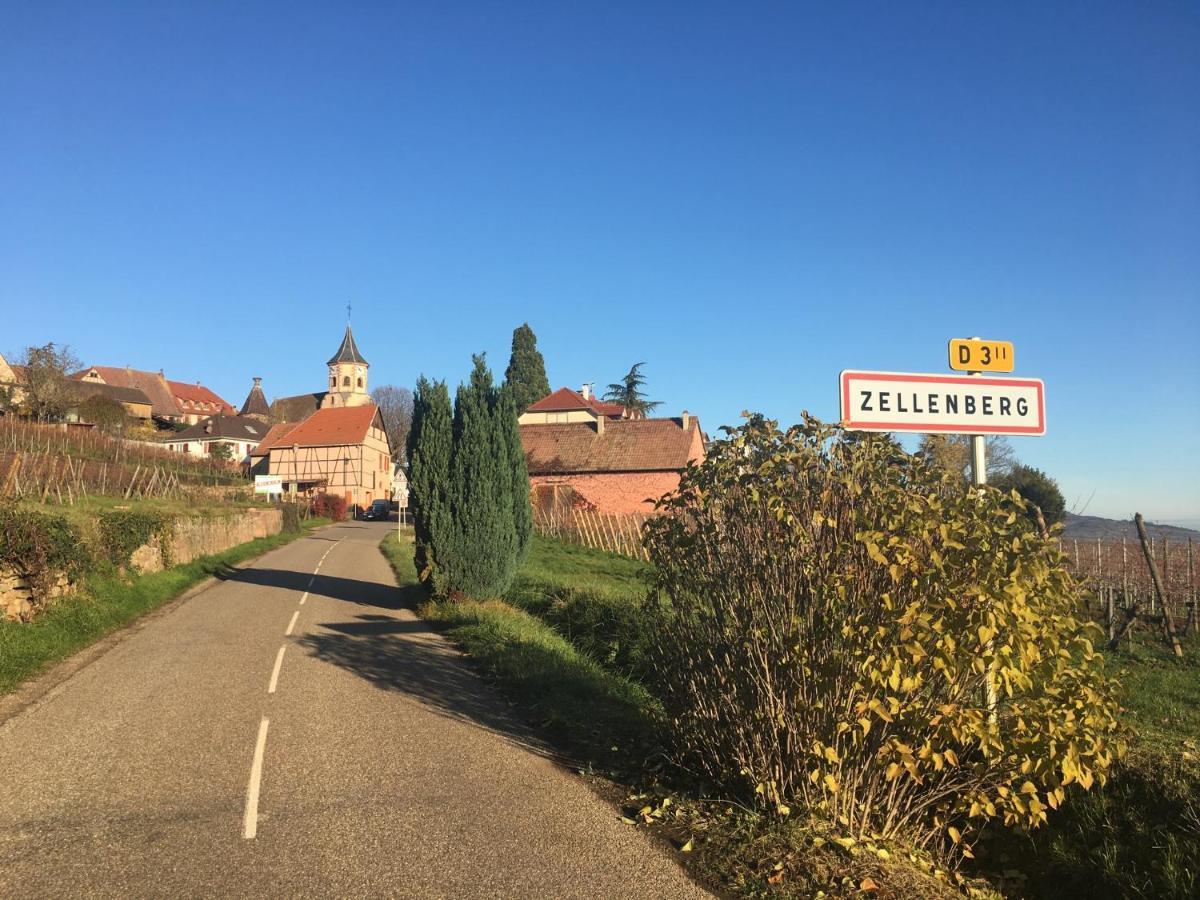 Apartament Au Nid De Cigogne Zellenberg Zewnętrze zdjęcie